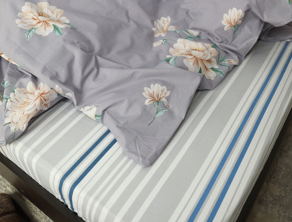 Євро-максі набір постільної білизни 200*220 із Бязі "Gold" №154682AB Черешенка™