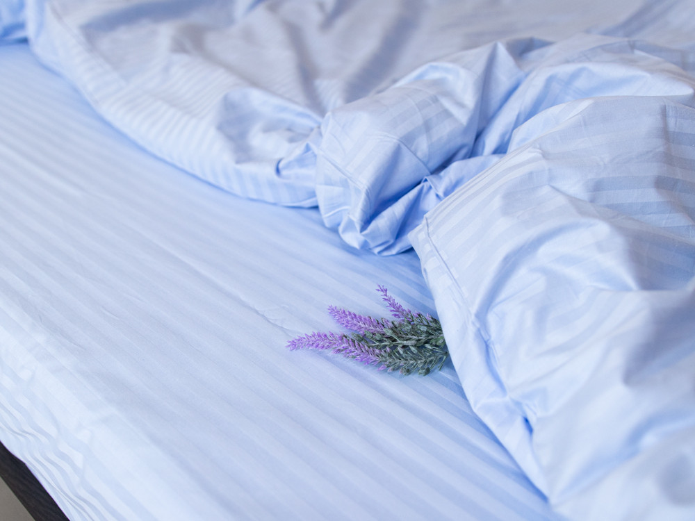 Полуторний набір постільної білизни 150*220 зі Страйп Сатину №50611 Черешенка™