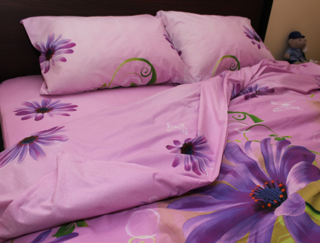 Двоспальний набір постільної білизни 180*220 із Ранфорсу №18910 Черешенка™