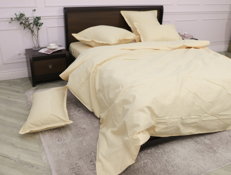 Євро-максі набір постільної білизни 200*230 зі Страйп Сатину D-015