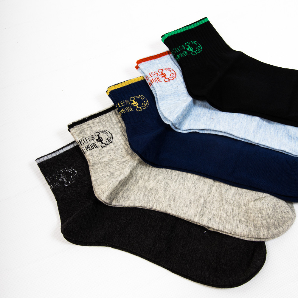 Чоловічі шкарпетки Nicen (10 пар) 41-47 №F554-24