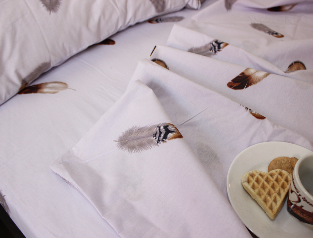 Євро-максі набір постільної білизни 200*220 із Ранфорсу №182077 Черешенка™