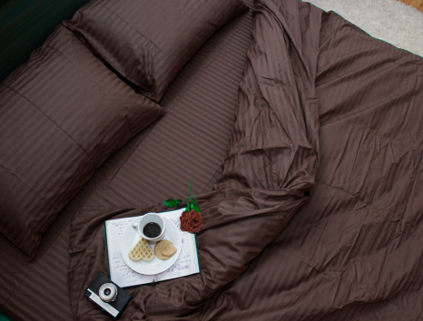 Євро-максі набір постільної білизни 200*220 зі Страйп Сатину №501420 Черешенка™