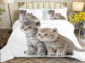 Семейный набор хлопкового постельного белья из Ранфорса №1832911 Черешенка™