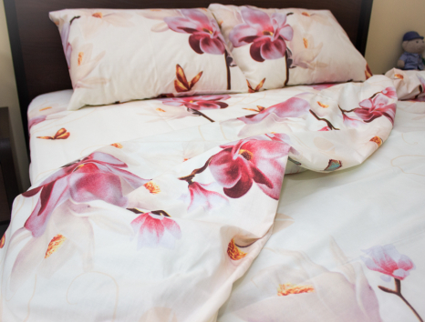 Двоспальний набір постільної білизни 180*220 із Ранфорсу №18825 Черешенка™