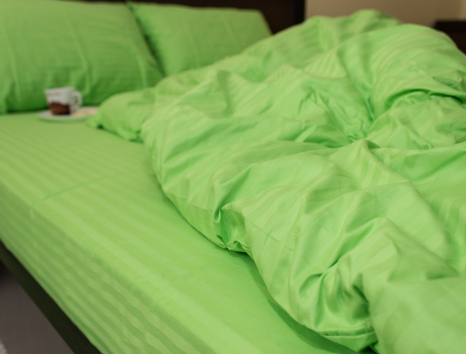 Євро-максі набір постільної білизни 200*220 зі Страйп Сатину №545910 KRISPOL™