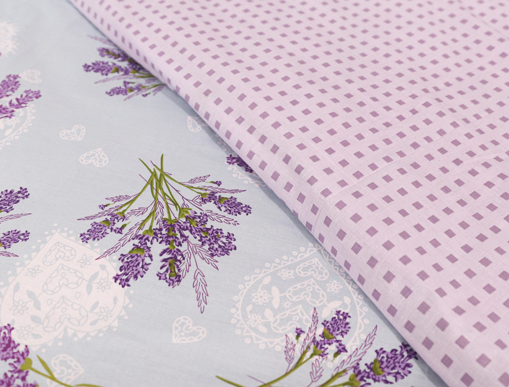 Євро-максі набір постільної білизни 200*220 із Бязі "Gold" №157615АВ Черешенка™