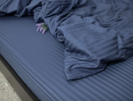 Євро-максі набір постільної білизни 200*220 зі Страйп Сатину №19-3928 Черешенка™