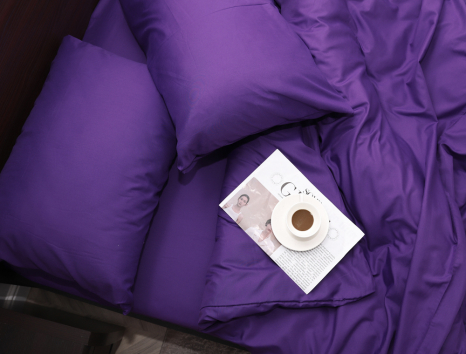 Евро набор постельного белья 200*220 из микрофибры №203483 Черешенка™