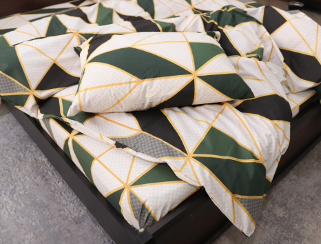 Євро-максі набір постільної білизни 200*220 із Бязі "Gold" №153862 Черешенка™