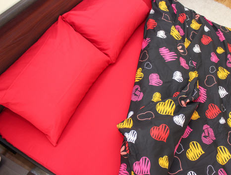 Євро-максі набір постільної білизни 200*220 із Бязі "Gold" №154219AB Черешенка™