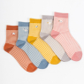 Жіночі шкарпетки Nicen (10 пар) 37-41 №A056-2