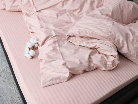 Евро макси набор постельного белья 200*220 из Страйп Сатина №12-1605 Черешенка™