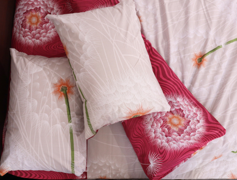 Евро макси набор постельного белья 200*220 из Бязи "Gold" №153311 Черешенка™