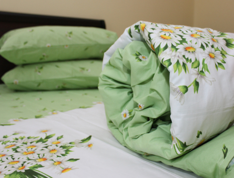 Евро макси набор постельного белья 200*220 из Бязи "Gold" №156673 Черешенка™