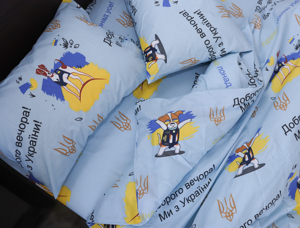 Євро-максі набір постільної білизни 200*220 із Бязі "Gold" №1530673 Черешенка™