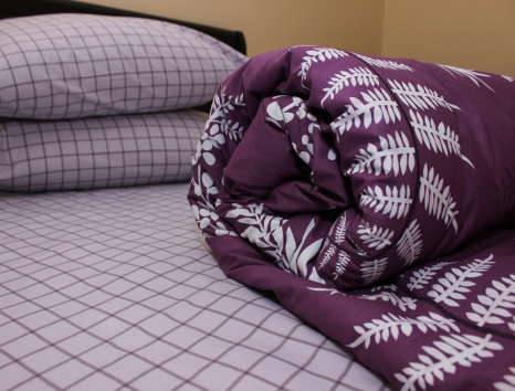 Євро-максі набір постільної білизни 200*220 із Ранфорсу №183167AB Черешенка™