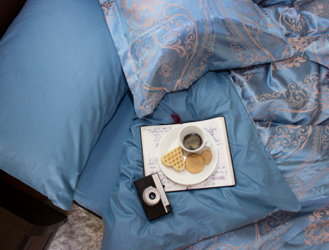 Євро-максі набір постільної білизни 200*220 із Жакарду №019AB KRISPOL™