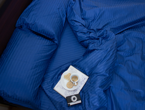 Євро-максі набір постільної білизни 200*220 зі Страйп Сатину №50666 Черешенка™