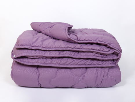 Двуспальное одеяло 4 сезона №44008