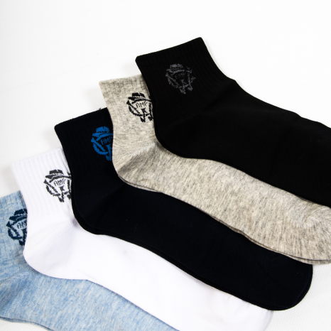 Чоловічі шкарпетки Nicen (10 пар) 41-47 №F554-23