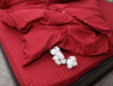 Двоспальний набір постільної білизни 180*220 зі Страйп Сатину №19-1758 Черешенка™