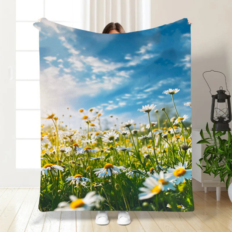 Плед с 3D-принтом 135*160 "Ромашки в поле" №3959