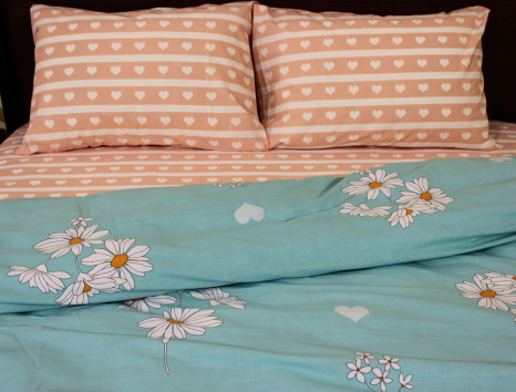 Полуторний набір постільної білизни 150*220 із Ранфорсу №182098AB Черешенка™