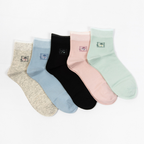 Жіночі шкарпетки Nicen (10 пар) 37-41 №A051-23