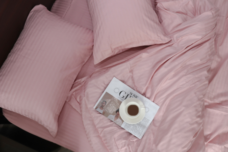 Евро набор постельного белья 200*220 из микрофибры в полоску №2061415 Черешенка™