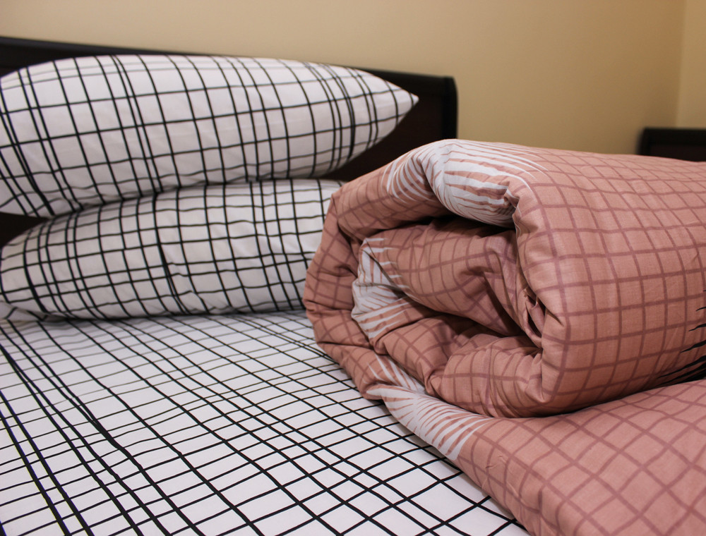 Євро-максі набір постільної білизни 200*220 із Ранфорсу №183168AB Черешенка™