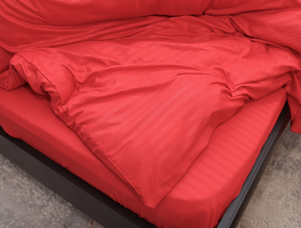 Полуторний набір постільної білизни 150*220 із мікрофібри №201660 Черешенька™