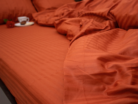 Євро-максі набір постільної білизни 200*220 зі Страйп Сатину №541340 KRISPOL™