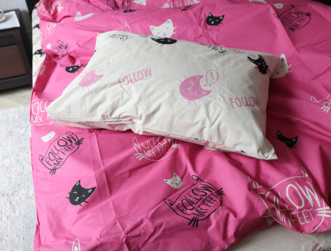 Евро макси набор постельного белья 200*220 из Бязи "Gold" №151466AB Черешенка™