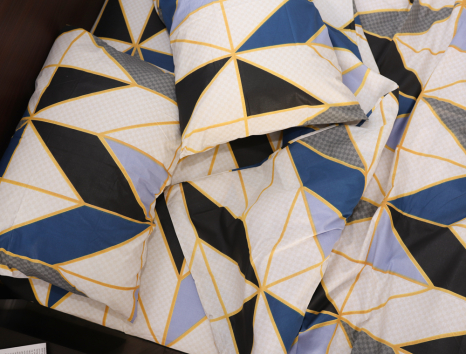 Евро макси набор постельного белья 200*220 из Бязи "Gold" №153863 Черешенка™