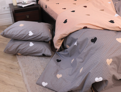 Євро-максі набір постільної білизни 200*220 із Бязі "Gold" №154561AB Черешенка™