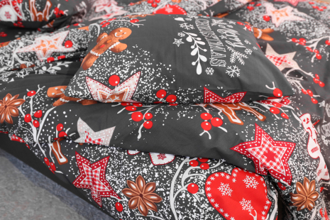 Евро макси набор постельного белья 200*220 из Бязи "Gold" №157972 Черешенка™