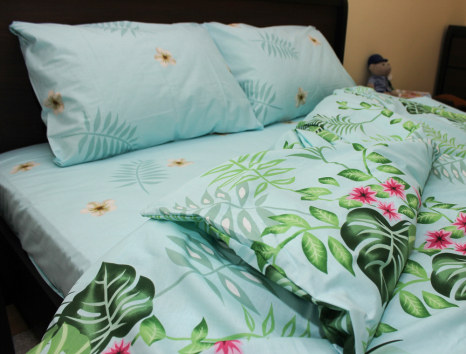 Євро-максі набір постільної білизни 200*220 із Ранфорсу №183169 Черешенка™