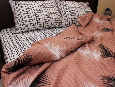 Євро-максі набір постільної білизни 200*220 із Ранфорсу №183168AB Черешенка™