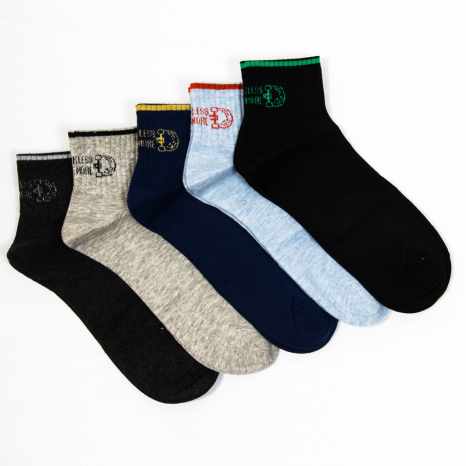 Чоловічі шкарпетки Nicen (10 пар) 41-47 №F554-24