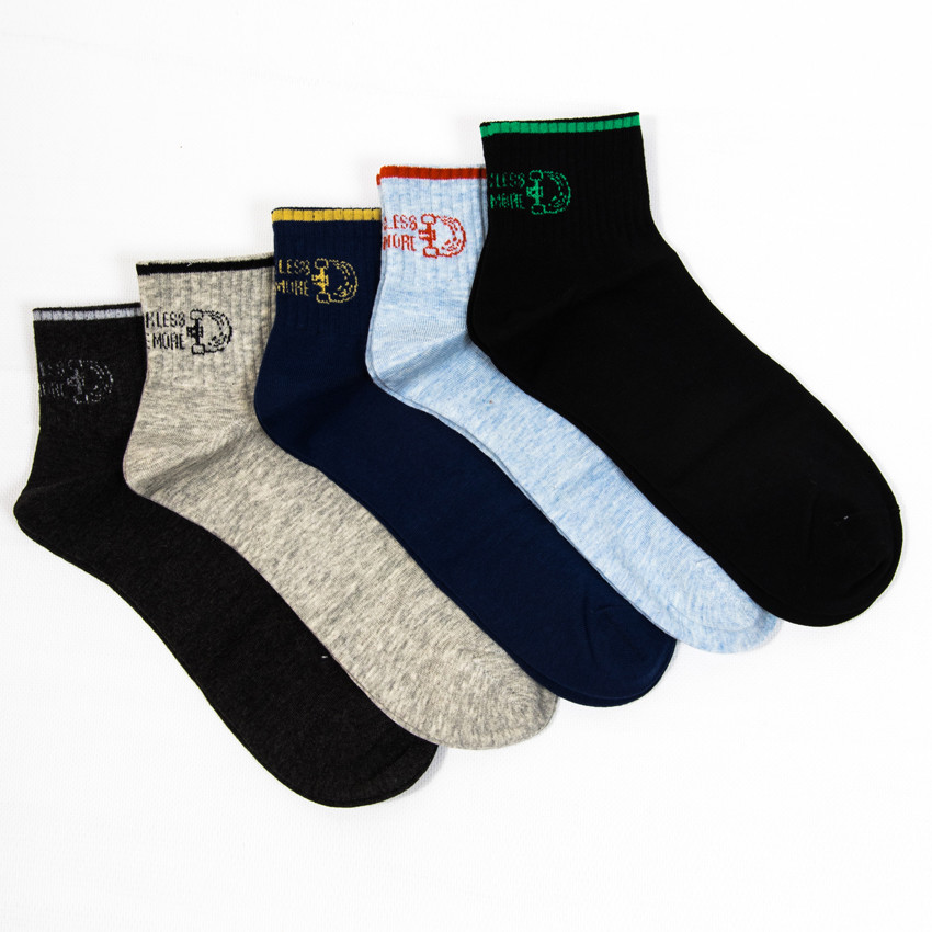 Чоловічі шкарпетки Nicen (10 пар) 41-47 №F554-24