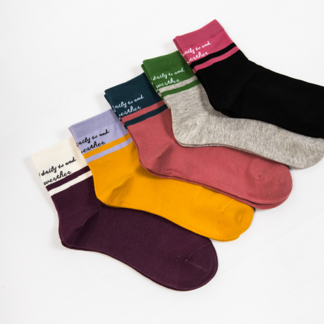 Жіночі шкарпетки Nicen (10 пар) 37-41 №A056-6