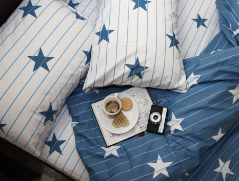 Євро-максі набір постільної білизни 200*220 із Бязі "Gold" №154068AB Черешенка™