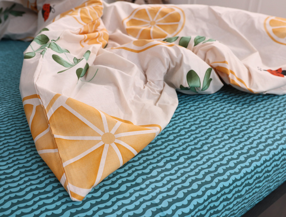 Євро-максі набір постільної білизни 200*220 із Бязі "Gold" №15369AB Черешенка™