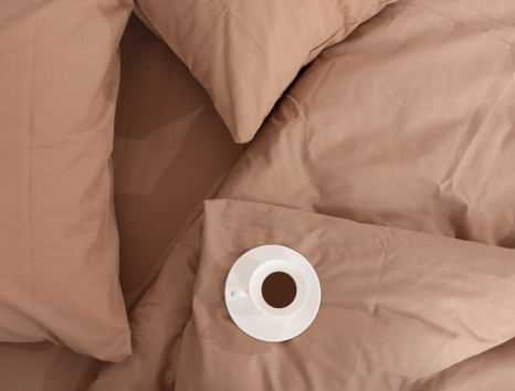 Євро-максі набір однотонної постільної білизни 200*220 із Бязі "Gold" №511041 Черешенка™