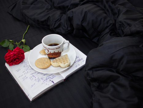 Євро-максі набір постільної білизни 200*220 зі Страйп Сатину №50111 Черешенка™