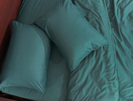 Двоспальний набір постільної білизни 180*220 із мікрофібри №202315 Черешенка™