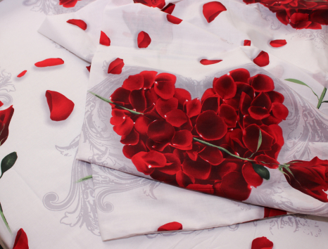 Євро-максі набір постільної білизни 200*220 із Ранфорсу №183182 Черешенка™