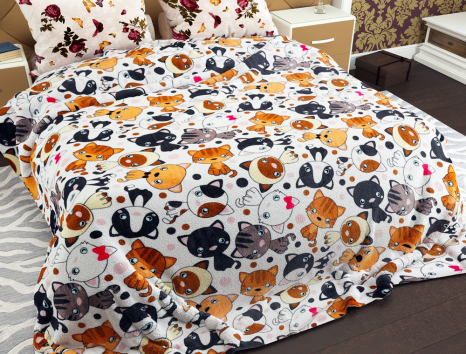 Євро флісовий плед №33942