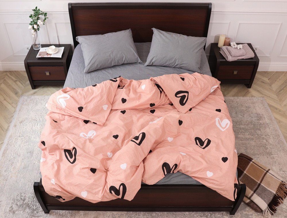 Євро-максі набір постільної білизни 200*220 із Бязі "Gold" №158057AB Черешенка™